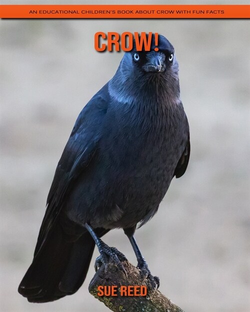 Crow! An Educational Childrens Book about Crow with Fun Facts (Paperback)