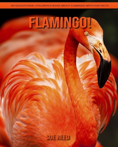 Flamingo! An Educational Childrens Book about Flamingo with Fun Facts (Paperback)