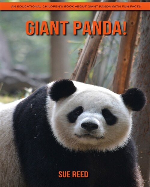 Giant Panda! An Educational Childrens Book about Giant Panda with Fun Facts (Paperback)