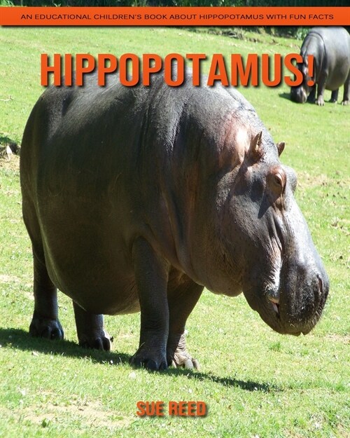 Hippopotamus! An Educational Childrens Book about Hippopotamus with Fun Facts (Paperback)