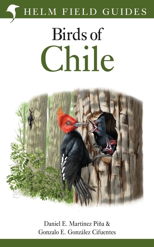 Field Guide to the Birds of Chile (Paperback)