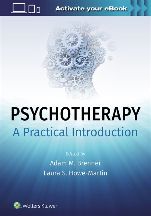 Psychotherapy: A Practical Introduction (Paperback)