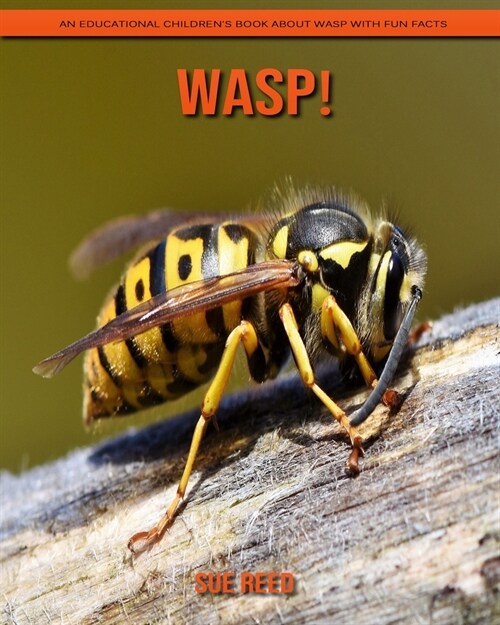 Wasp! An Educational Childrens Book about Wasp with Fun Facts (Paperback)