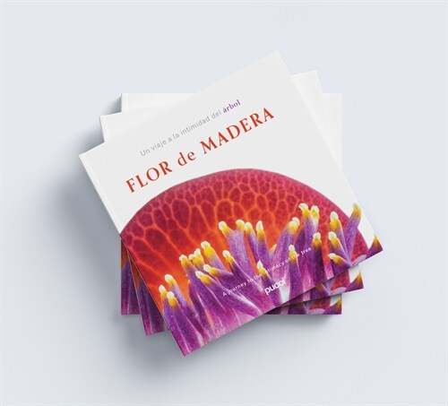 Flor de Madera: A Journey Into the Intimacy of the Tree (Hardcover)