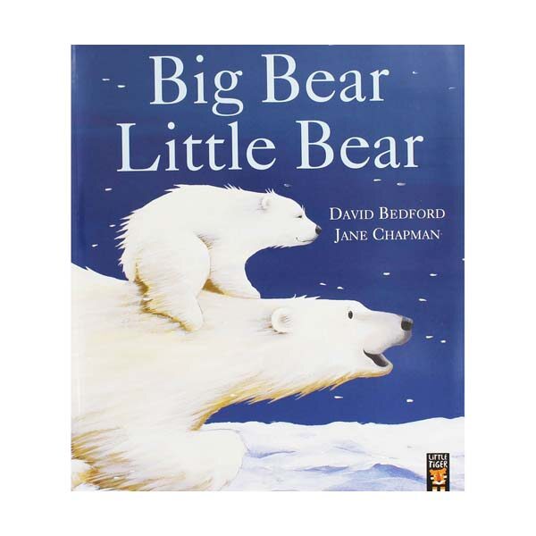 Big Bear Little Bear (Paperback)