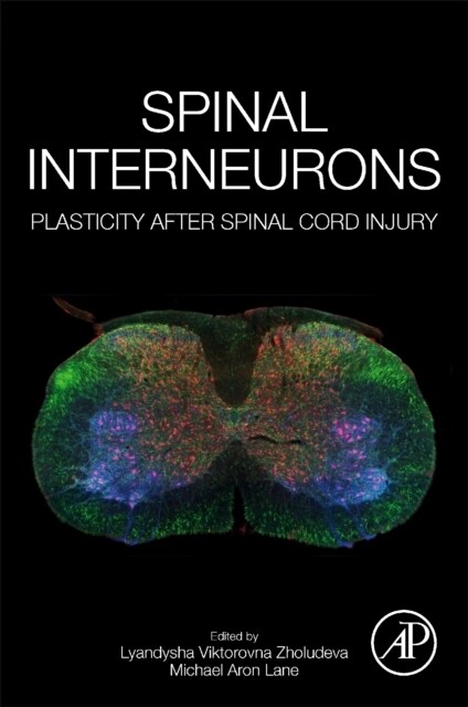 Spinal Interneurons: Plasticity After Spinal Cord Injury (Paperback)