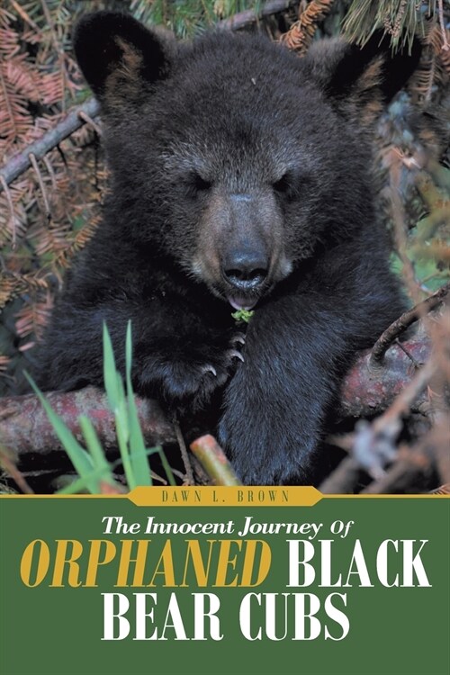 The Innocent Journey of Orphaned Black Bear Cubs (Paperback)