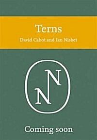 Terns (Paperback)