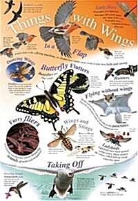 Things with Wings (Wallchart)