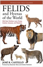 Felids and Hyenas of the World: Wildcats, Panthers, Lynx, Pumas, Ocelots, Caracals, and Relatives (Paperback)