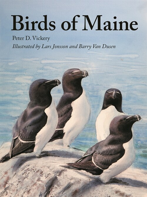 Birds of Maine (Hardcover)