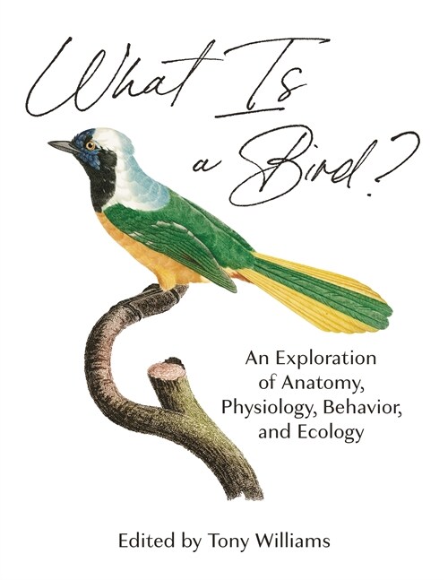 What Is a Bird?: An Exploration of Anatomy, Physiology, Behavior, and Ecology (Hardcover)