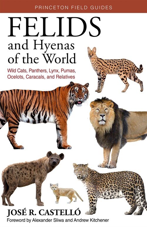 Felids and Hyenas of the World: Wildcats, Panthers, Lynx, Pumas, Ocelots, Caracals, and Relatives (Paperback)