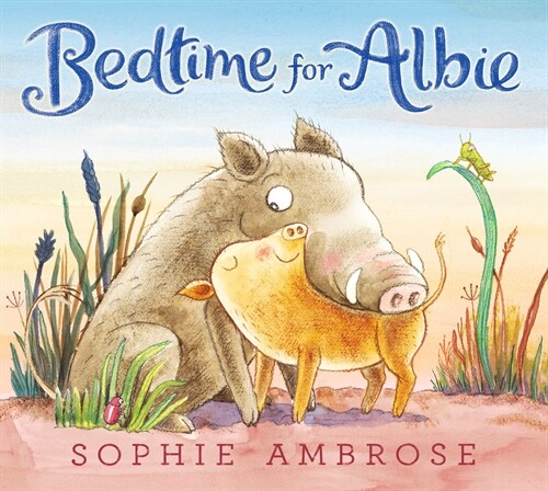 Bedtime for Albie (Hardcover)