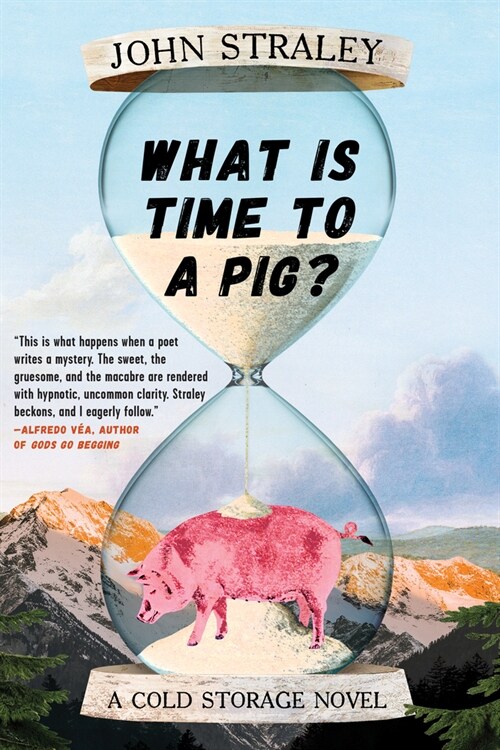 What Is Time to a Pig? (Paperback)