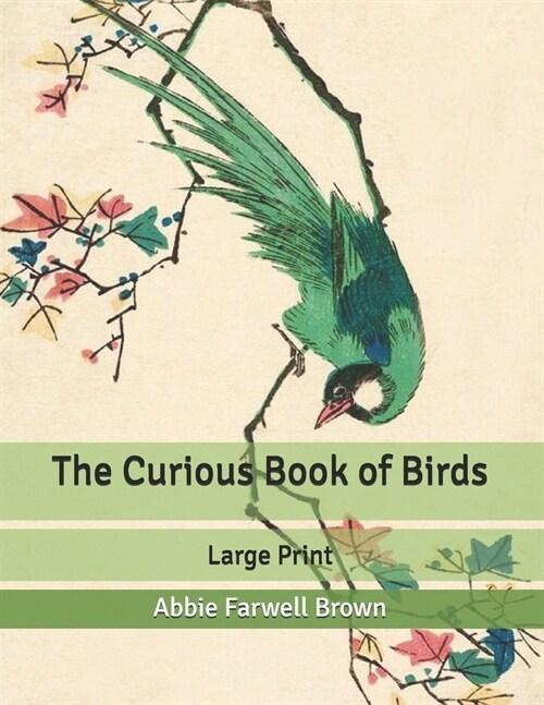 The Curious Book of Birds: Large Print (Paperback)
