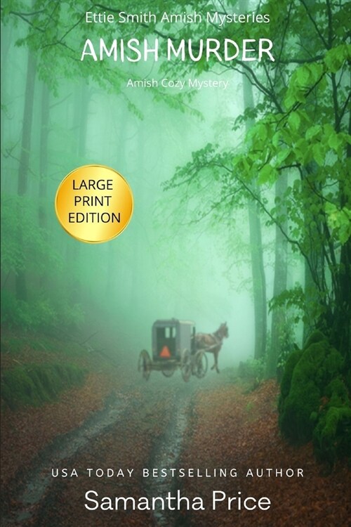 [중고] Amish Murder LARGE PRINT: Amish Cozy Mystery (Paperback)