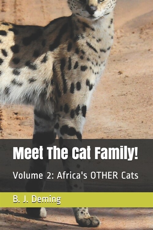 Meet The Cat Family!: Volume 2: Africas OTHER Cats (Paperback)