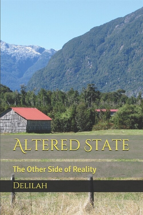 Altered State: The Other Side of Reality (Paperback)