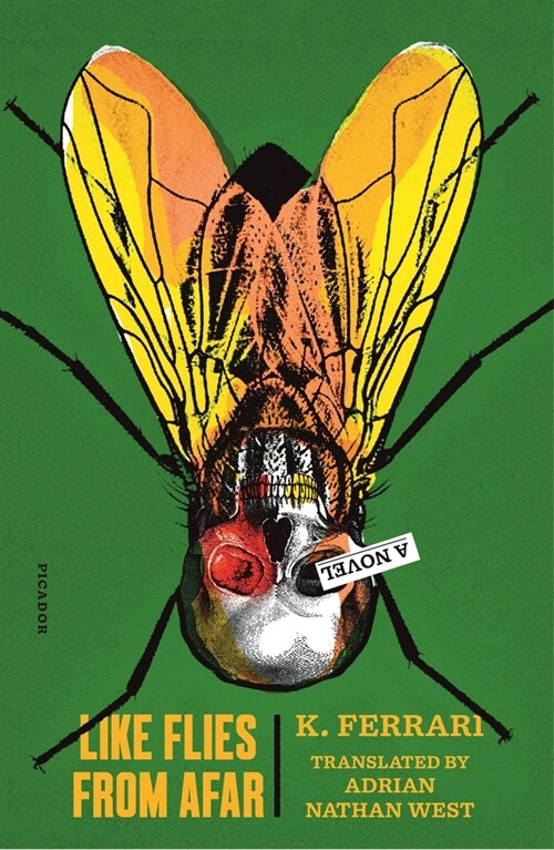 Like Flies from Afar (Paperback)