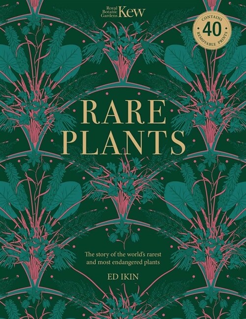 Kew - Rare Plants : Forty of the worlds rarest and most endangered plants (Paperback)