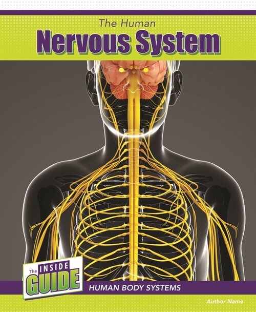 The Human Nervous System (Paperback)