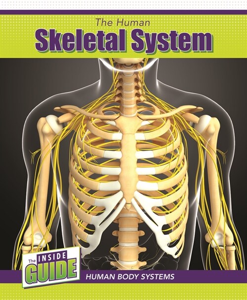 The Human Skeletal System (Library Binding)