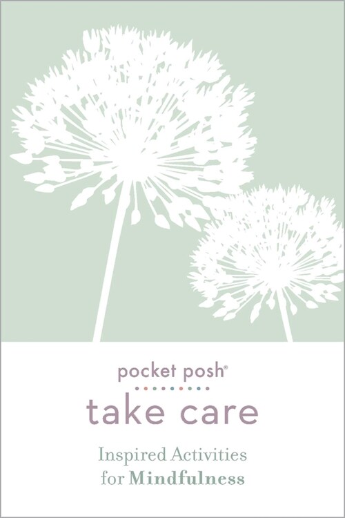 Pocket Posh Take Care: Inspired Activities for Mindfulness (Paperback)