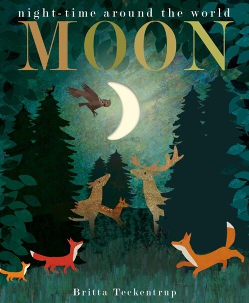 Moon : night-time around the world (Board Book)