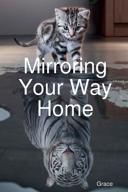 Mirroring Your Way Home (Paperback)