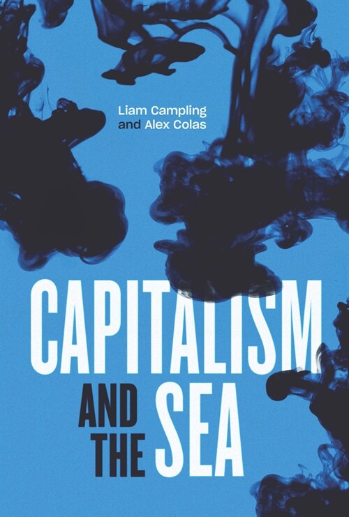 Capitalism and the Sea : The Maritime Factor in the Making of the Modern World (Hardcover)