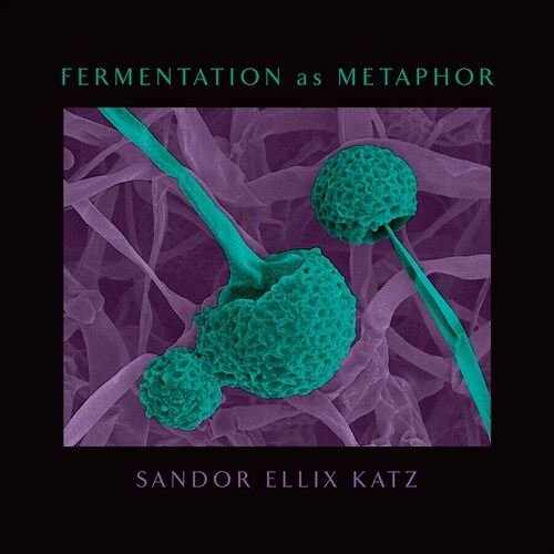 Fermentation as Metaphor: From the Author of the Bestselling the Art of Fermentation (Hardcover)