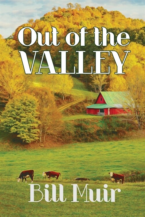 Out of the Valley (Paperback)