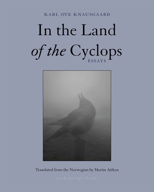 In the Land of the Cyclops (Hardcover)