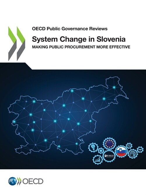 System Change in Slovenia (Paperback)