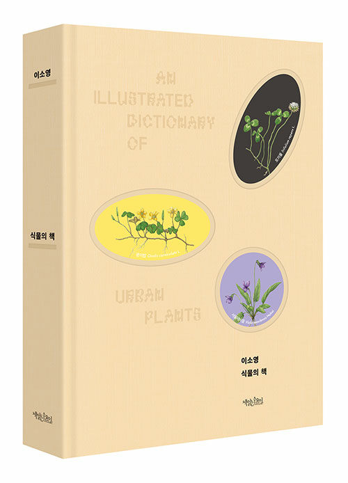 [중고] 식물의 책 (도시 풀꽃 에디션)