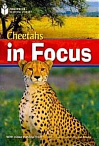 Cheetah Chase: Footprint Reading Library 6 (Paperback)