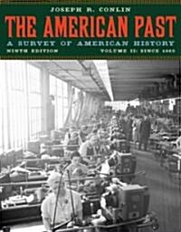 The American Past (Paperback, 9th)