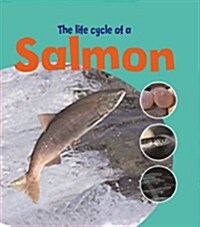 The Life of a Salmon (Paperback)