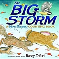 The Big Storm: A Very Soggy Counting Book (Board Books)