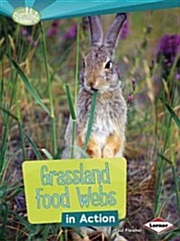 Grassland Food Webs in Action (Paperback)