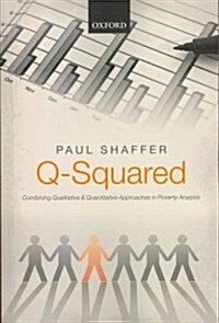 Q-Squared : Combining Qualitative and Quantitative Approaches in Poverty Analysis (Paperback)