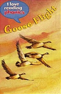 Goose Flight (Paperback)