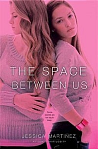 The Space Between Us (Paperback)