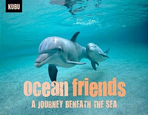 [중고] Ocean Friends: A Journey Beneath the Sea (Paperback)