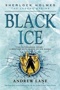 Black Ice (Paperback)