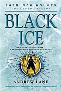 [중고] Black Ice (Paperback)