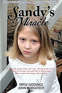 Sandys Miracle (Paperback)