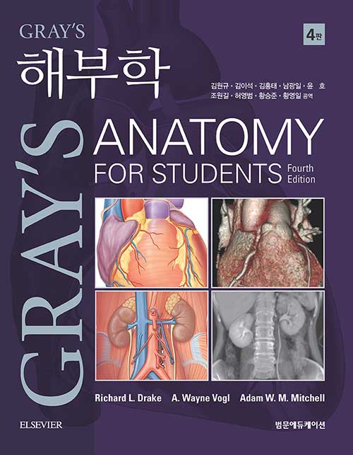 Grays 해부학