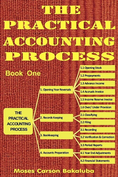 The Practical Accounting Process (Paperback)